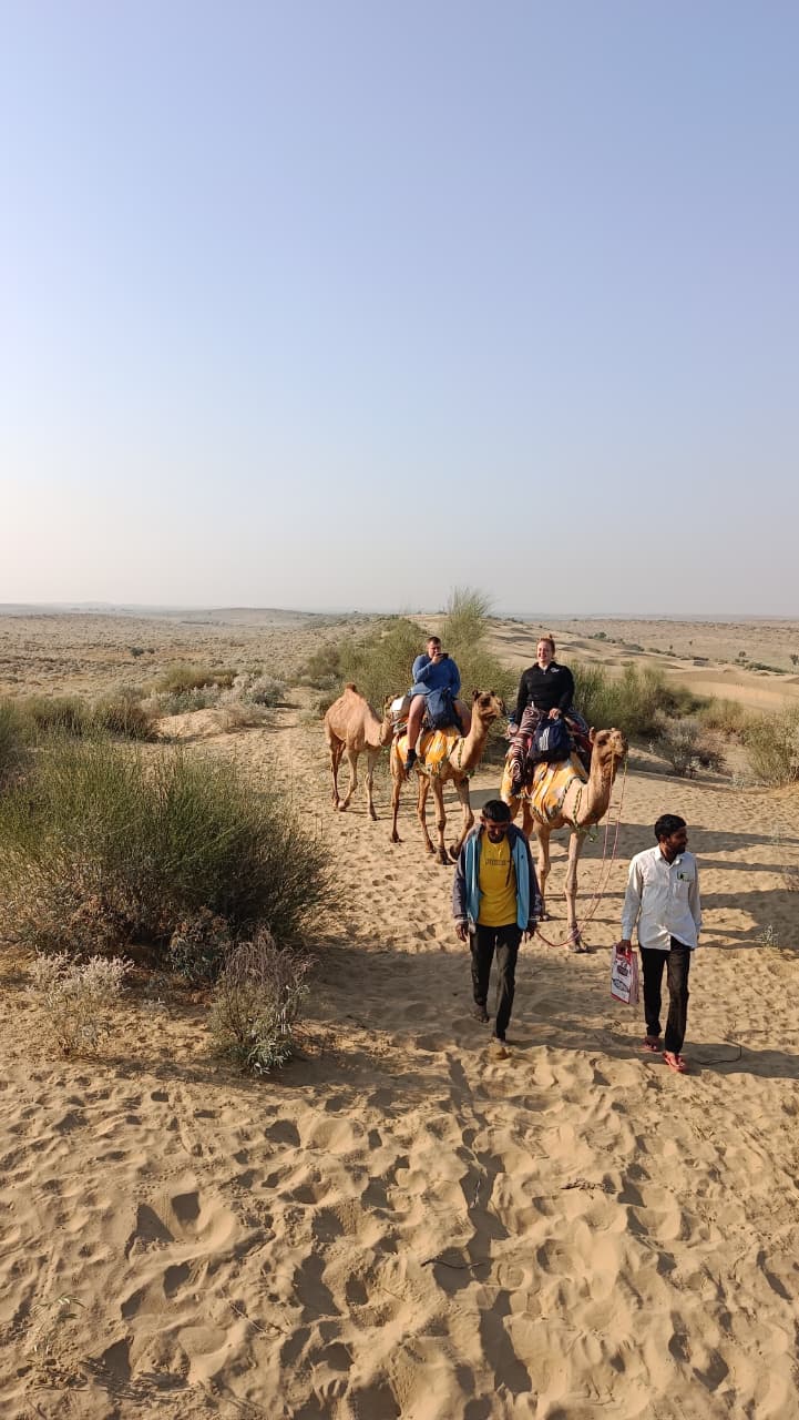 Camel Safari